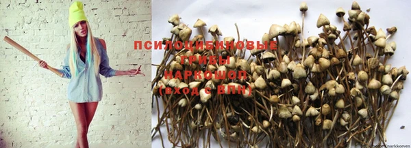 таблы Арсеньев