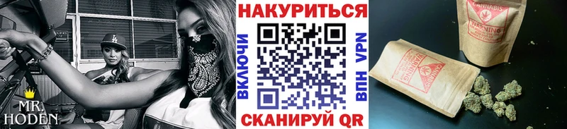 где продают наркотики  Сальск  Конопля семена 